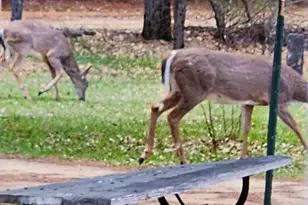 1972 W 7th Ct, Friendship, WI 53934 - Photo 51