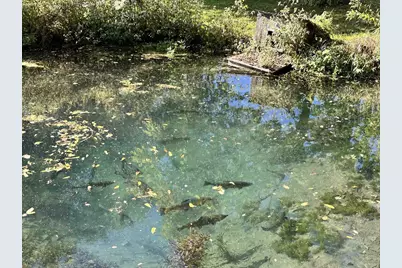 E4533 Norwegian Hollow Road, Viroqua, WI 54665 - Photo 29