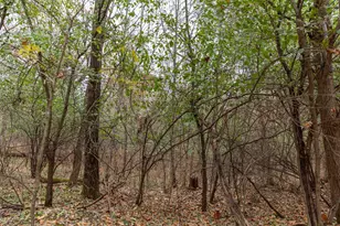 N8604 17th Ave, Neshkoro, WI 54960 - Photo 53