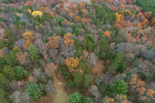 N8604 17th Ave, Neshkoro, WI 54960 - Photo 61