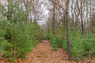 N8604 17th Ave, Neshkoro, WI 54960 - Photo 49