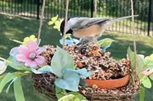 4228 Parkview Dr, Janesville, WI 53546 - Photo 59