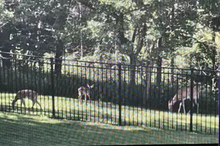 4228 Parkview Dr, Janesville, WI 53546 - Photo 5