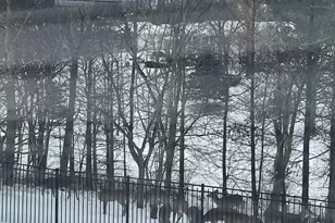 4228 Parkview Dr, Janesville, WI 53546 - Photo 7