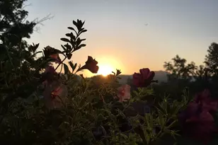 28302 Hwy 80, Richland Center, WI 53581 - Photo 87