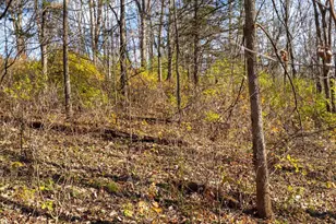 28302 Hwy 80, Richland Center, WI 53581 - Photo 55