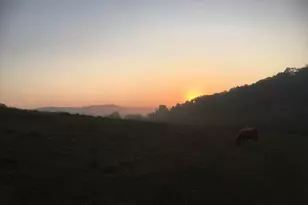 28302 Hwy 80, Richland Center, WI 53581 - Photo 49