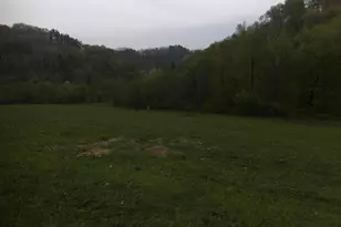 28302 Hwy 80, Richland Center, WI 53581 - Photo 79