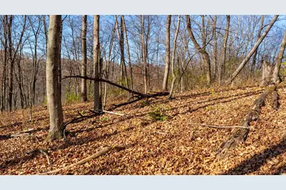 28302 Hwy 80, Richland Center, WI 53581 - Photo 39