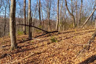 28302 Hwy 80, Richland Center, WI 53581 - Photo 39