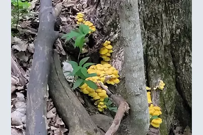 28302 Hwy 80, Richland Center, WI 53581 - Photo 25