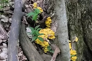 28302 Hwy 80, Richland Center, WI 53581 - Photo 25