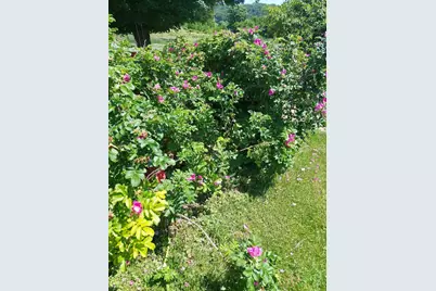 28302 Hwy 80, Richland Center, WI 53581 - Photo 83