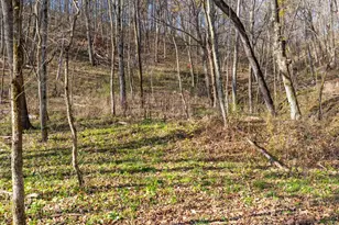 28302 Hwy 80, Richland Center, WI 53581 - Photo 37