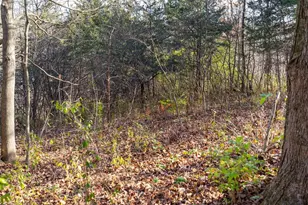 28302 Hwy 80, Richland Center, WI 53581 - Photo 47