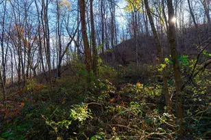 28302 Hwy 80, Richland Center, WI 53581 - Photo 67