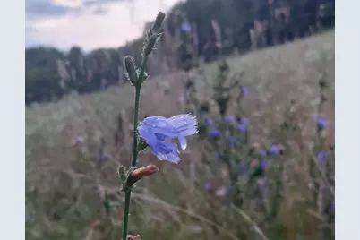 28302 Hwy 80, Richland Center, WI 53581 - Photo 29