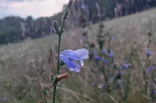 28302 Hwy 80, Richland Center, WI 53581 - Photo 29