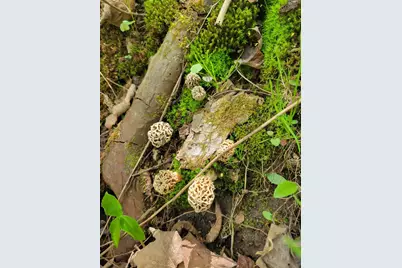 28302 Hwy 80, Richland Center, WI 53581 - Photo 41