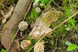 28302 Hwy 80, Richland Center, WI 53581 - Photo 41