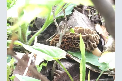 28302 Hwy 80, Richland Center, WI 53581 - Photo 69