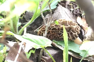 28302 Hwy 80, Richland Center, WI 53581 - Photo 69