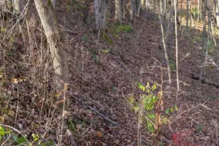 28302 Hwy 80, Richland Center, WI 53581 - Photo 39