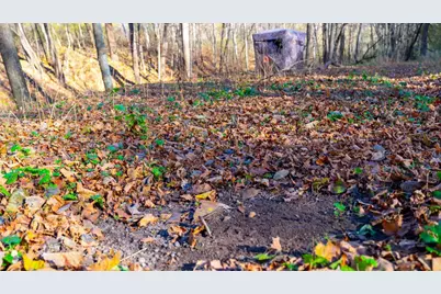 28302 Hwy 80, Richland Center, WI 53581 - Photo 61