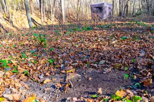 28302 Hwy 80, Richland Center, WI 53581 - Photo 61