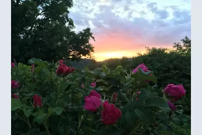 28302 Hwy 80, Richland Center, WI 53581 - Photo 51