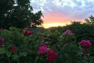 28302 Hwy 80, Richland Center, WI 53581 - Photo 51