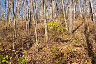 28302 Hwy 80, Richland Center, WI 53581 - Photo 43