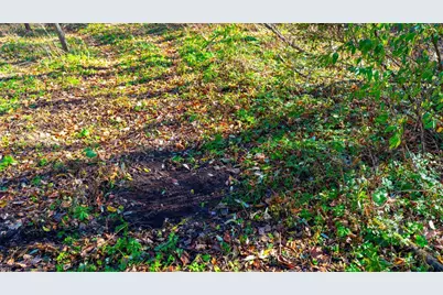 28302 Hwy 80, Richland Center, WI 53581 - Photo 59