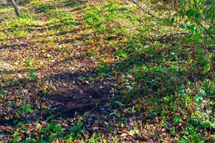 28302 Hwy 80, Richland Center, WI 53581 - Photo 59