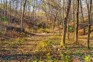 28302 Hwy 80, Richland Center, WI 53581 - Photo 57