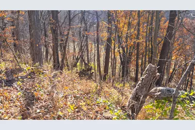 28302 Hwy 80, Richland Center, WI 53581 - Photo 31