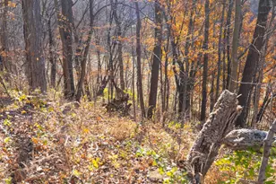 28302 Hwy 80, Richland Center, WI 53581 - Photo 31