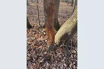 28302 Hwy 80, Richland Center, WI 53581 - Photo 27