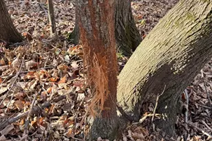 28302 Hwy 80, Richland Center, WI 53581 - Photo 27