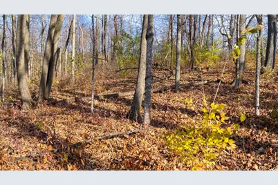 28302 Hwy 80, Richland Center, WI 53581 - Photo 37