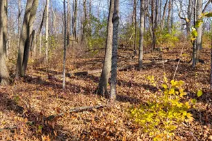 28302 Hwy 80, Richland Center, WI 53581 - Photo 37