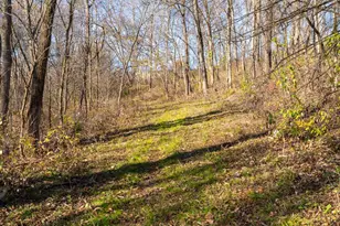 28302 Hwy 80, Richland Center, WI 53581 - Photo 53