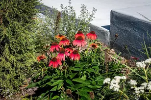 4043 Serenbe St, Middleton, WI 53562 - Photo 45