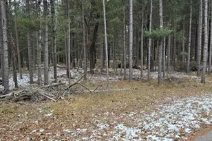 2934 Brentwood Dr, Grand Marsh, WI 53936 - Photo 17