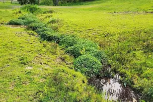 145 S Witham Rd, Ontario, WI 54651 - Photo 61