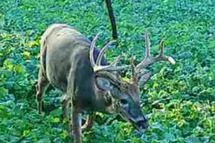 32974 Potter Ln, Muscoda, WI 53573 - Photo 17