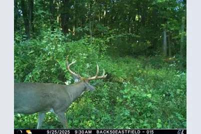 32974 Potter Lane, Muscoda, WI 53573 - Photo 13