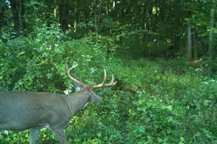 32974 Potter Ln, Muscoda, WI 53573 - Photo 13