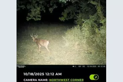 32974 Potter Lane, Muscoda, WI 53573 - Photo 51