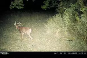 32974 Potter Ln, Muscoda, WI 53573 - Photo 51